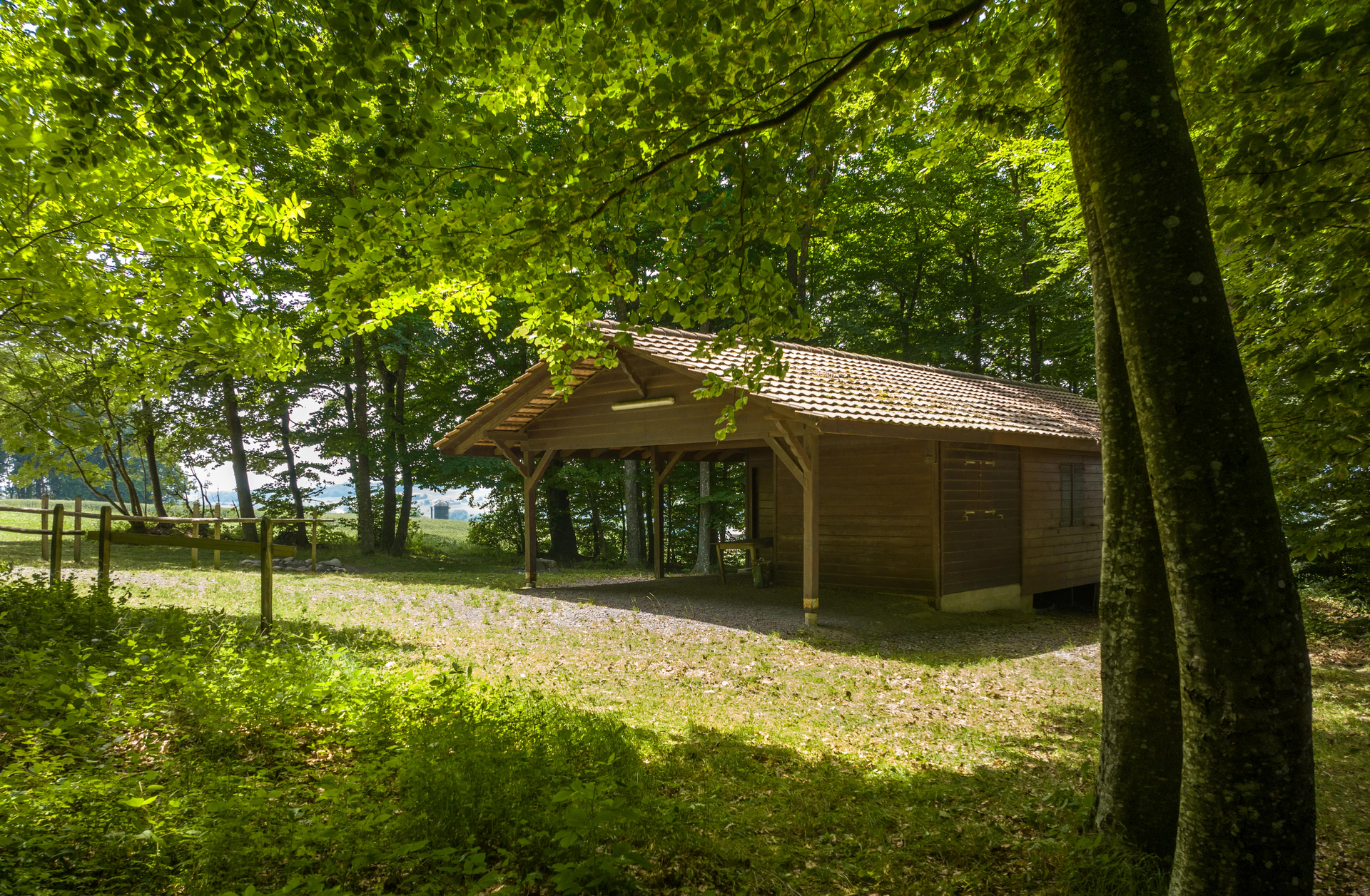 Image - Cabane_2.jpg