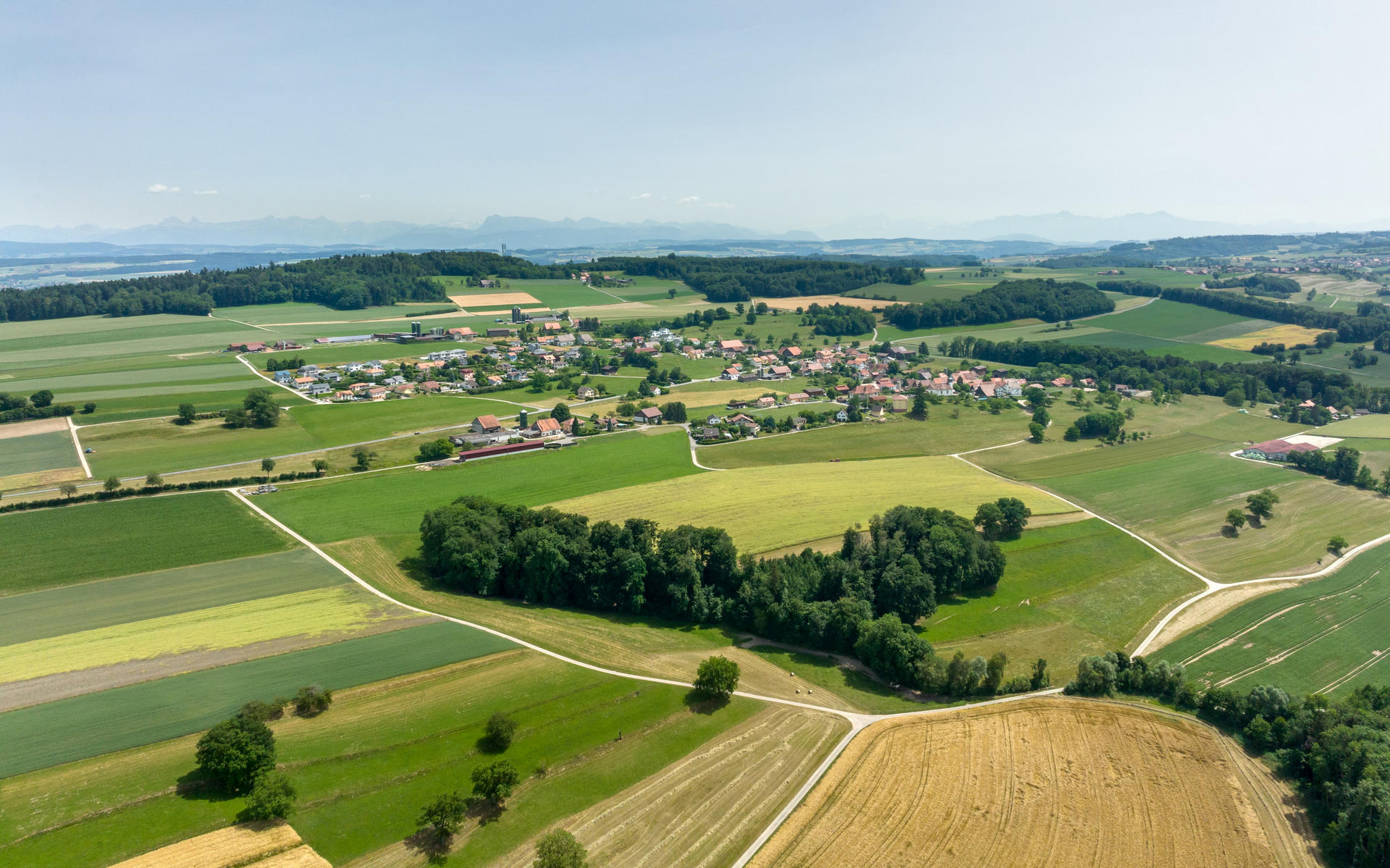 Image - Commune_12.jpg