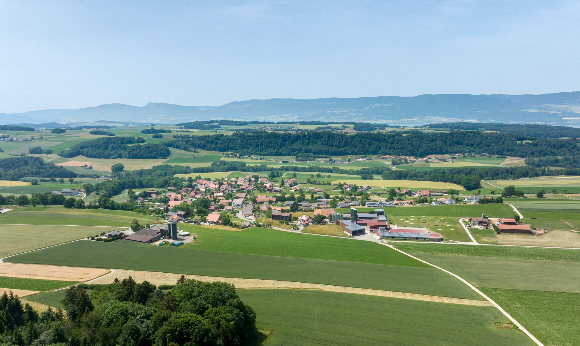 Image - Commune_6.jpg