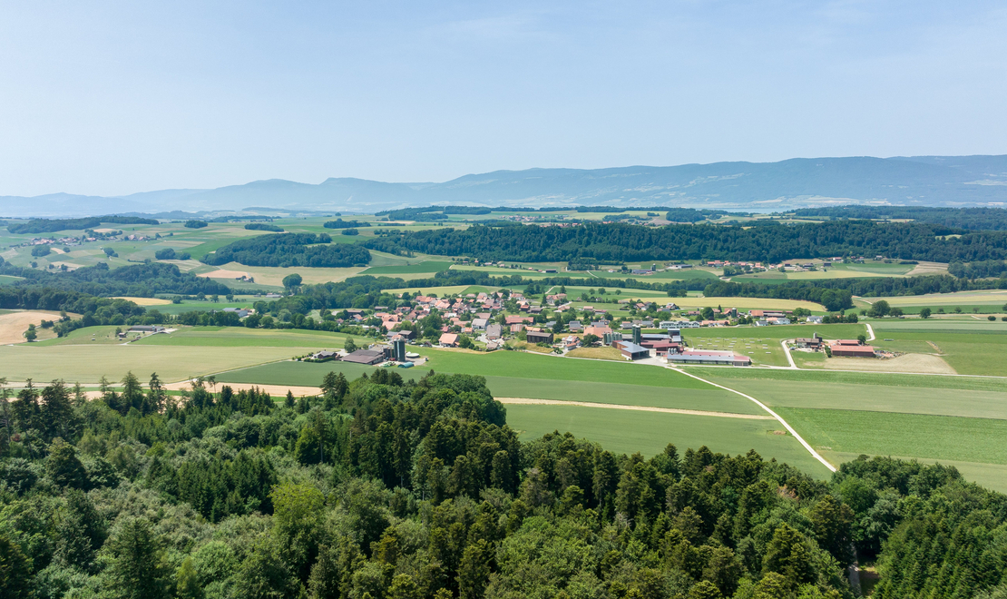 Image - DJI_0354-min.jpg